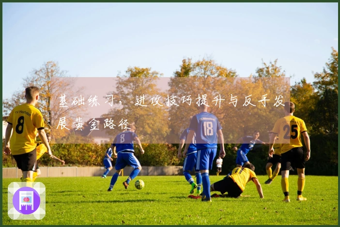 基础练习，进攻技巧提升与反手发展黄金路径