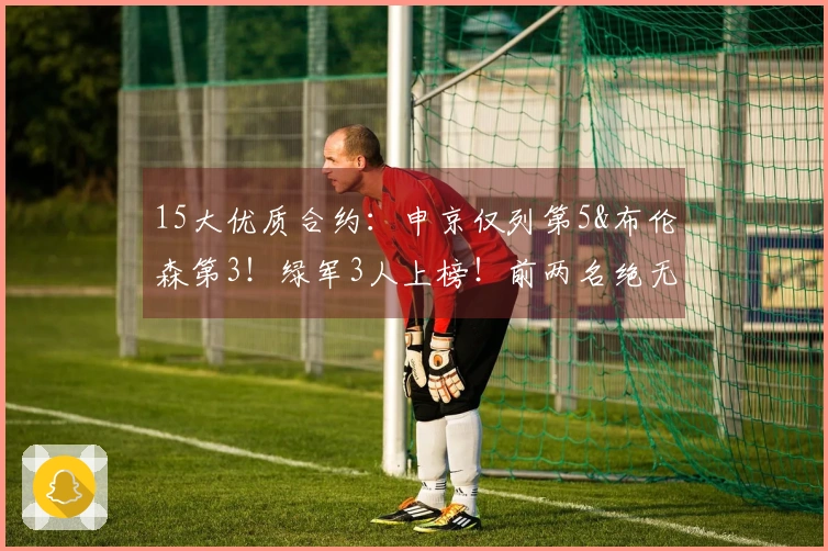 15大优质合约：申京仅列第5&布伦森第3！绿军3人上榜！前两名绝无仅有