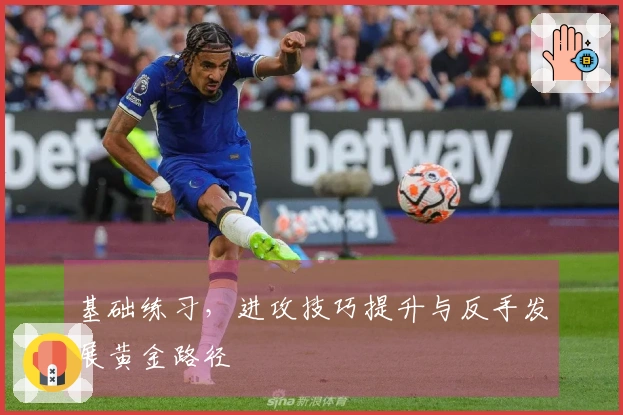 基础练习，进攻技巧提升与反手发展黄金路径