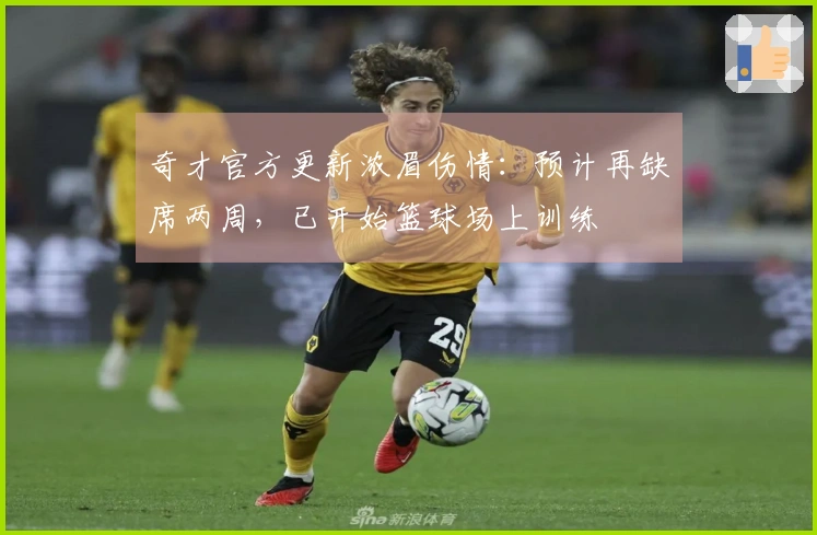 奇才官方更新浓眉伤情:预计再缺席两周,已开始篮球场上训练